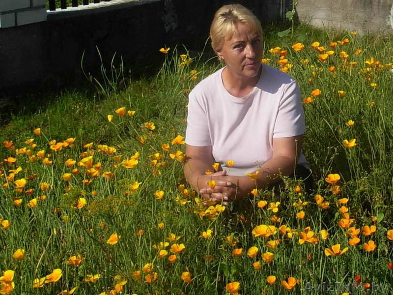 Тимченко Л.П. цветоводство 2012 - Изображение #1, Объявление #795789