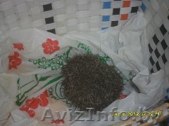 АВТО ПО НИЗКИМ ЦЕНАМ - Изображение #1, Объявление #1025182