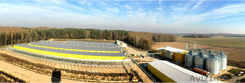 Работающая Птицефабрика 85% готовности - Изображение #1, Объявление #1189928