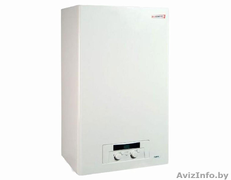 Газовые котлы PROTHERM РЫСЬ 24 в комплекте с дымоходом  - Изображение #1, Объявление #1431510