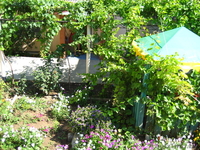 Отдых в Крыму .Частный сектор . - Изображение #3, Объявление #244512