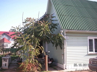 dom/dve dvuhkomnatnyje kvartiry s otdelnymi vhodami - Изображение #1, Объявление #426252