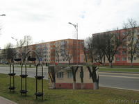 КВАРТИРА ПОД ОФИС!!!!!!!!!!! - Изображение #3, Объявление #578432