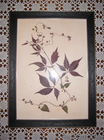 Картины. Флористика. - Изображение #1, Объявление #1034397