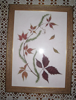 Картины. Флористика. - Изображение #2, Объявление #1034397