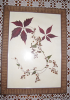 Картины. Флористика. - Изображение #3, Объявление #1034397