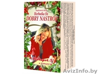 Фруктовые сиропы, фруктовые и травяные чаи и  биологически активные добавки  - Изображение #2, Объявление #1046282