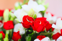 Фото и видеосъёмка Ваших торжеств! - Изображение #4, Объявление #1361136