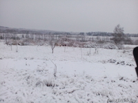 Фермерское хозяйство "Хозяин" - Изображение #2, Объявление #1412513