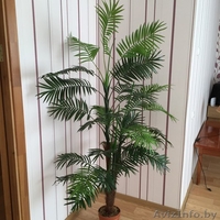 Выгодно в центре города 1,2,3-х. к/кв. на сутки,часы и командиров. - Изображение #5, Объявление #1455618