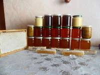 перга, мед, воск, прополис недорого!!! - Изображение #2, Объявление #1673977