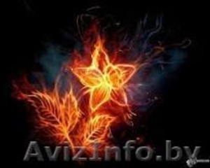 Качественно оклеим обои