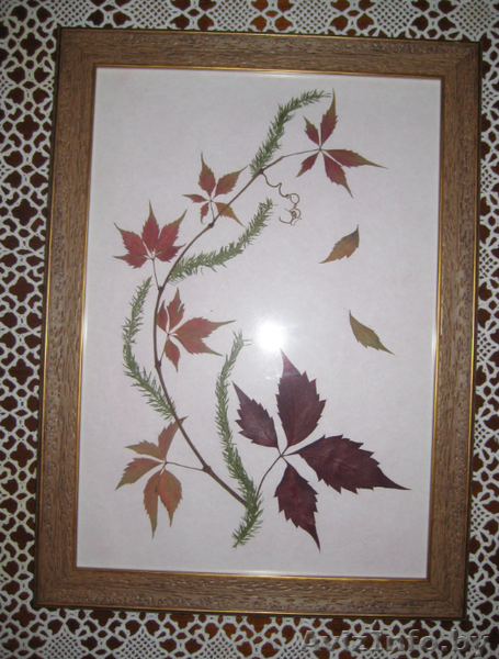 Картины. Флористика. - Изображение #2, Объявление #1034397