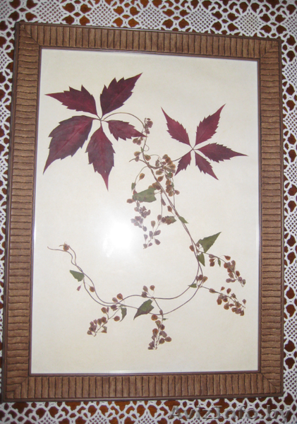 Картины. Флористика. - Изображение #3, Объявление #1034397