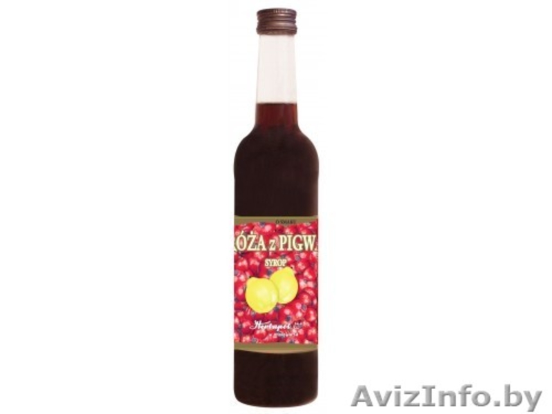 Фруктовые сиропы, фруктовые и травяные чаи и  биологически активные добавки  - Изображение #9, Объявление #1046282