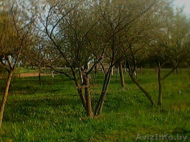 дом с удобствами - Изображение #1, Объявление #1294866