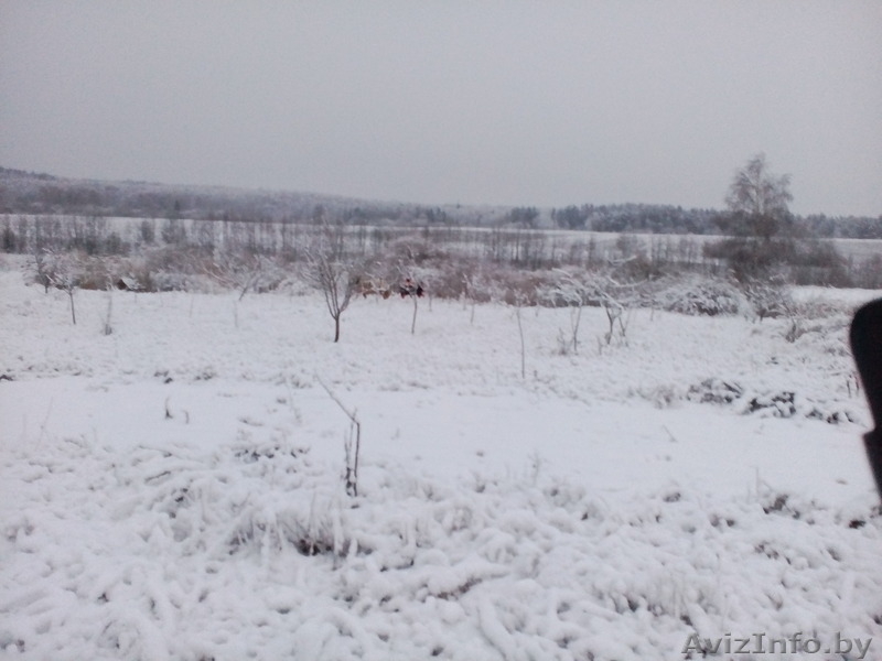 Фермерское хозяйство "Хозяин" - Изображение #2, Объявление #1412513