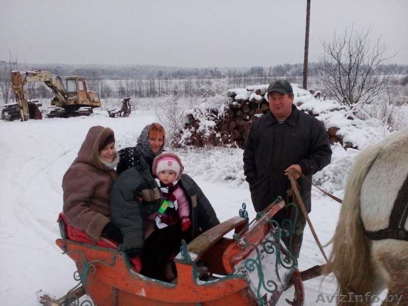 Фермерское хозяйство "Хозяин" - Изображение #3, Объявление #1412513