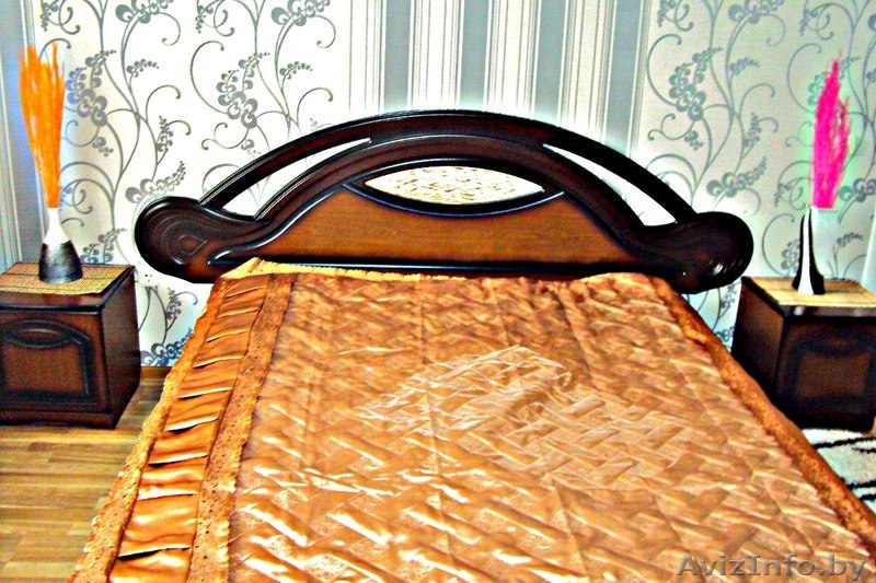 1,2,3 к/кв на сутки, часы в центре города - Изображение #2, Объявление #1482952