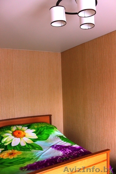 Сеть 1,2,3-х к/кв на сутки от эконом до VIP в Лиде - Изображение #2, Объявление #1509598